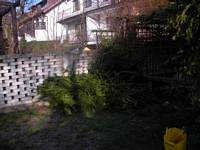 Ogród w Szczecinie